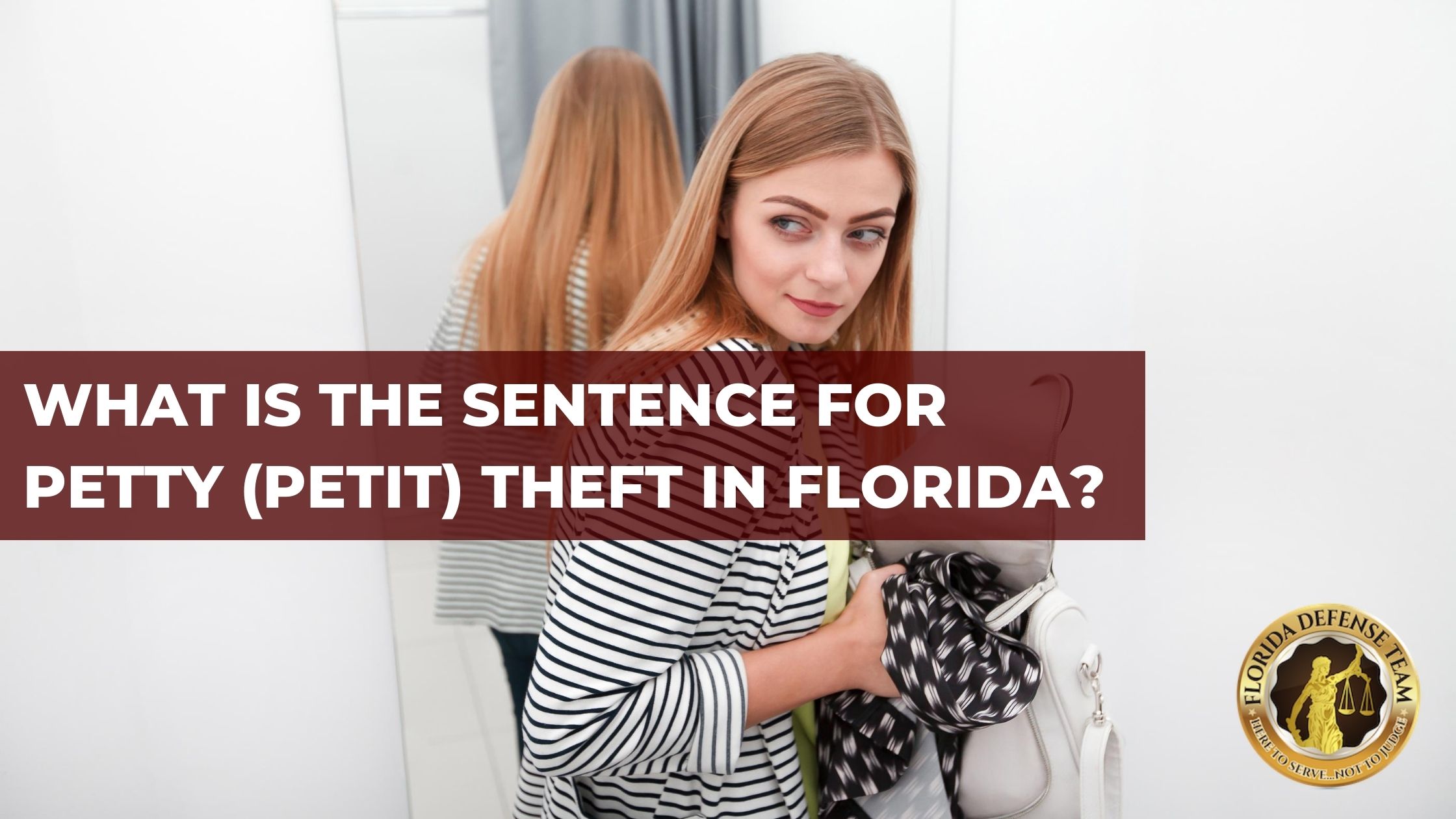 what-is-the-sentence-for-petty-petit-theft-in-florida